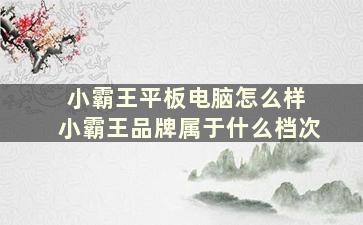 小霸王平板电脑怎么样 小霸王品牌属于什么档次